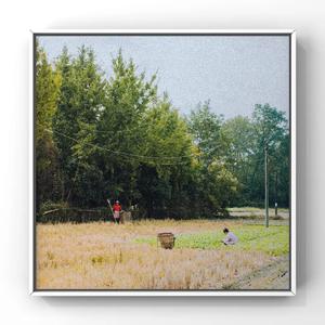 搬家工人当着老公的面完整版
