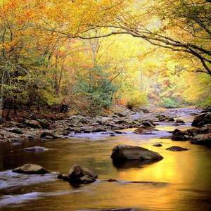 搬家工人当着老公的面完整版
